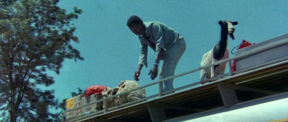 ミラクル・ワールド／ブッシュマンの画像