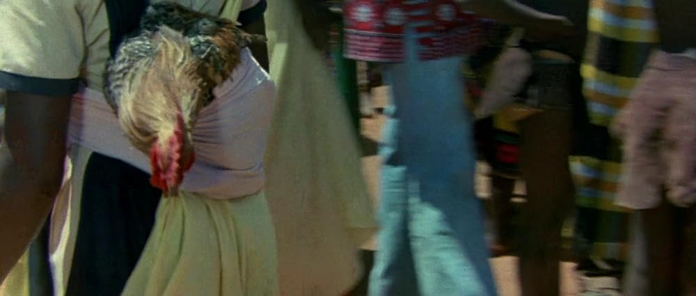 ミラクル・ワールド／ブッシュマンの画像