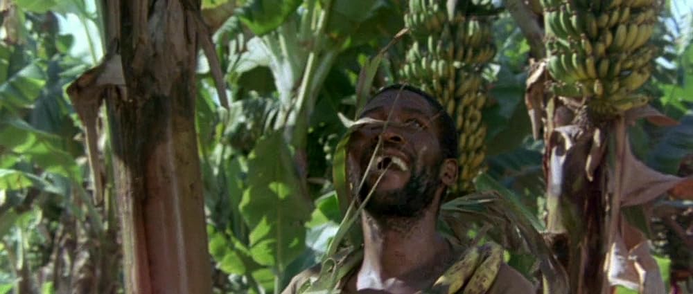 ミラクル・ワールド／ブッシュマンの画像