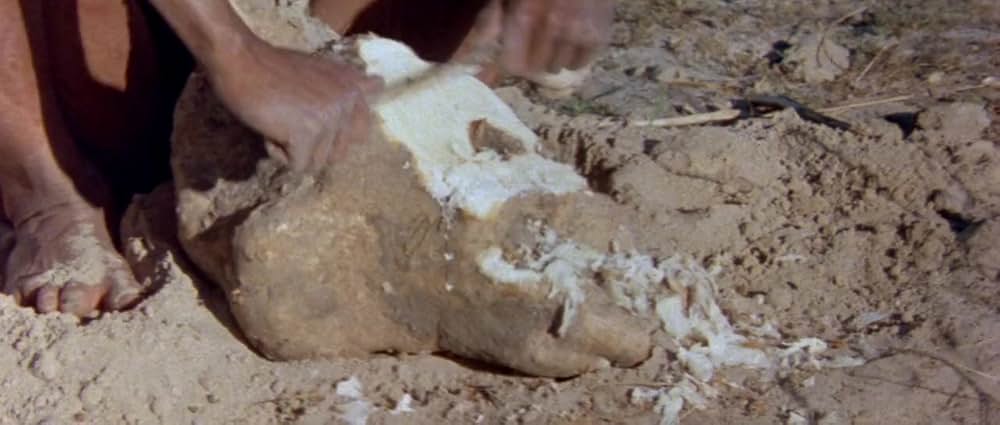 ミラクル・ワールド／ブッシュマンの画像