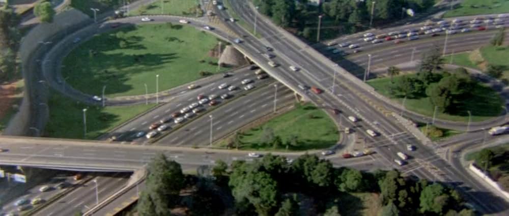 ミラクル・ワールド／ブッシュマンの画像