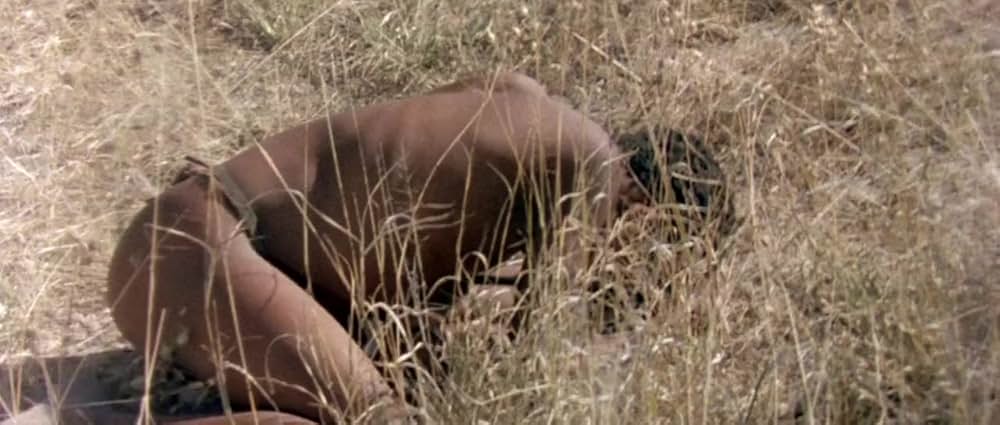 ミラクル・ワールド／ブッシュマンの画像