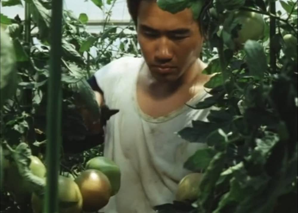 新潟 アンテナ ショップ 日本橋 遠雷(1981) | Bokuと映画 Chack