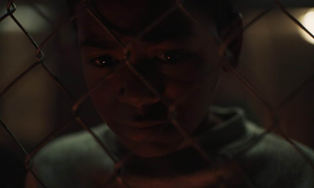 シカゴ･ダイアリーズの画像