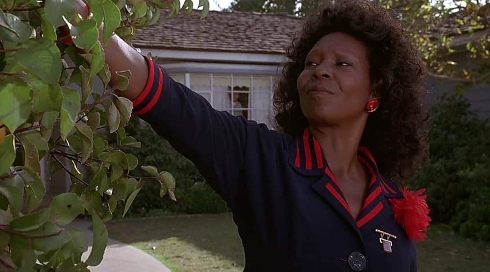 コリーナ、コリーナの画像