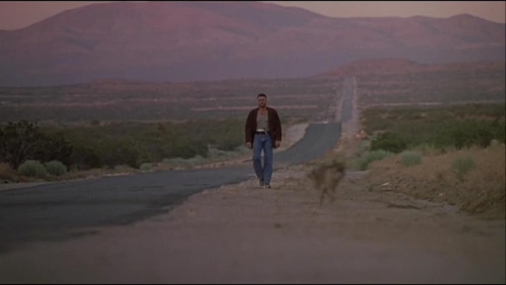 ヴァン・ダム IN コヨーテの画像