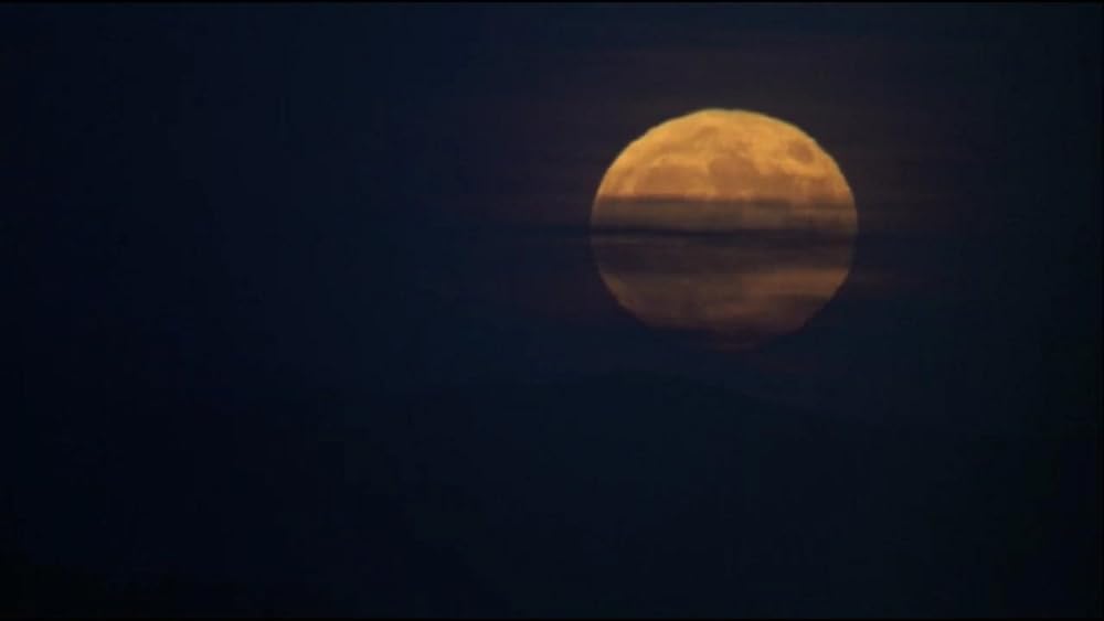 ヴァン・ダム IN コヨーテの画像