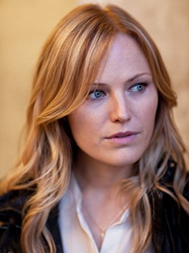 「殺しのナンバー／スパイ・コード 殺しのナンバー」Malin Åkermanの画像