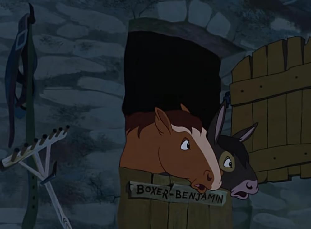 動物農場の画像