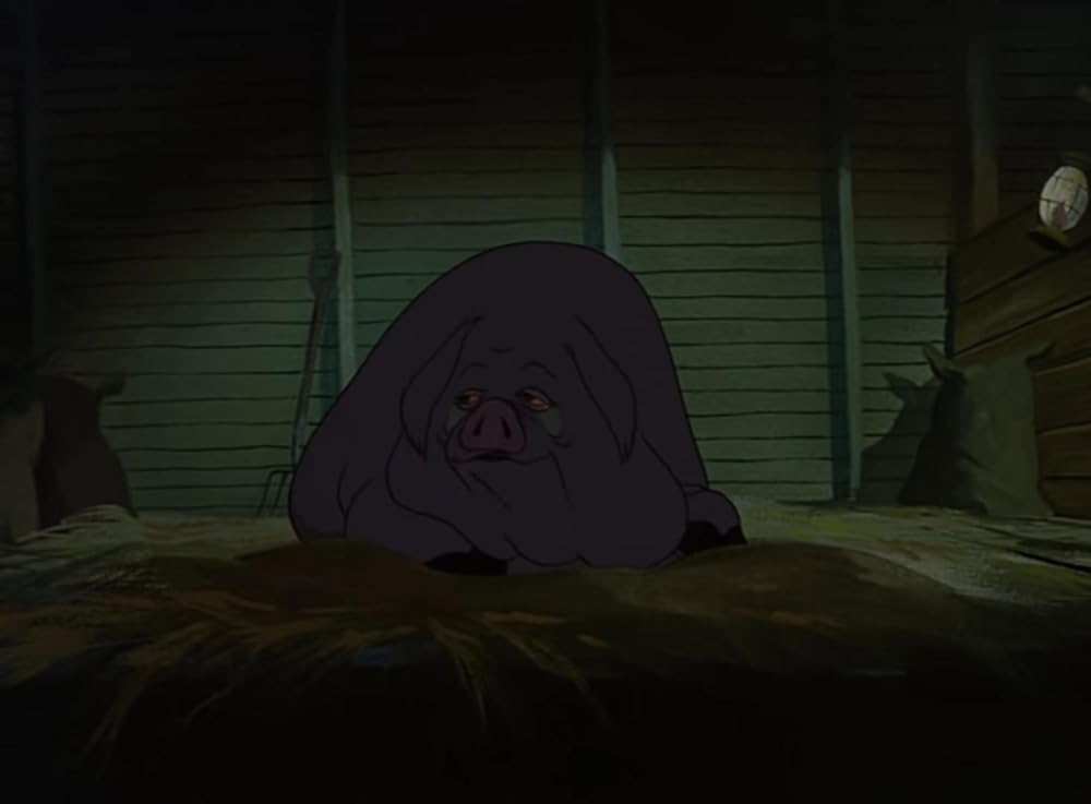 動物農場の画像