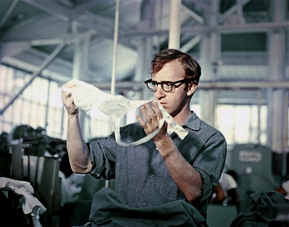 泥棒野郎の画像