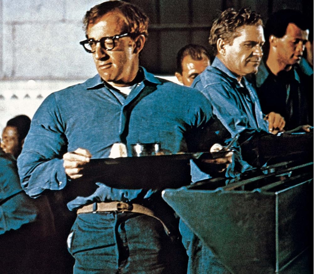 泥棒野郎の画像