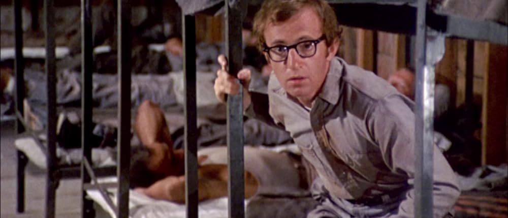 泥棒野郎の画像