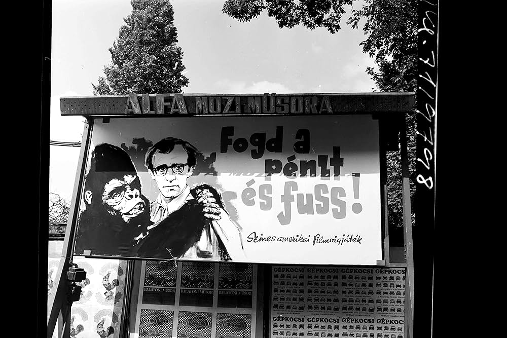 泥棒野郎の画像