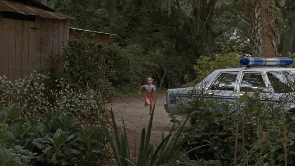 愛に翼をの画像