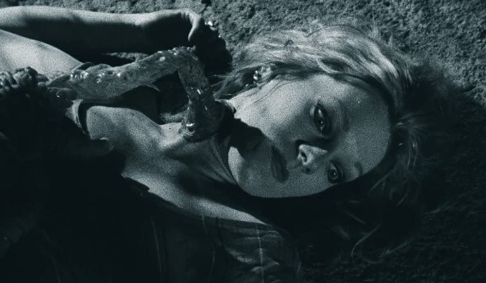 スミサリーンズの画像