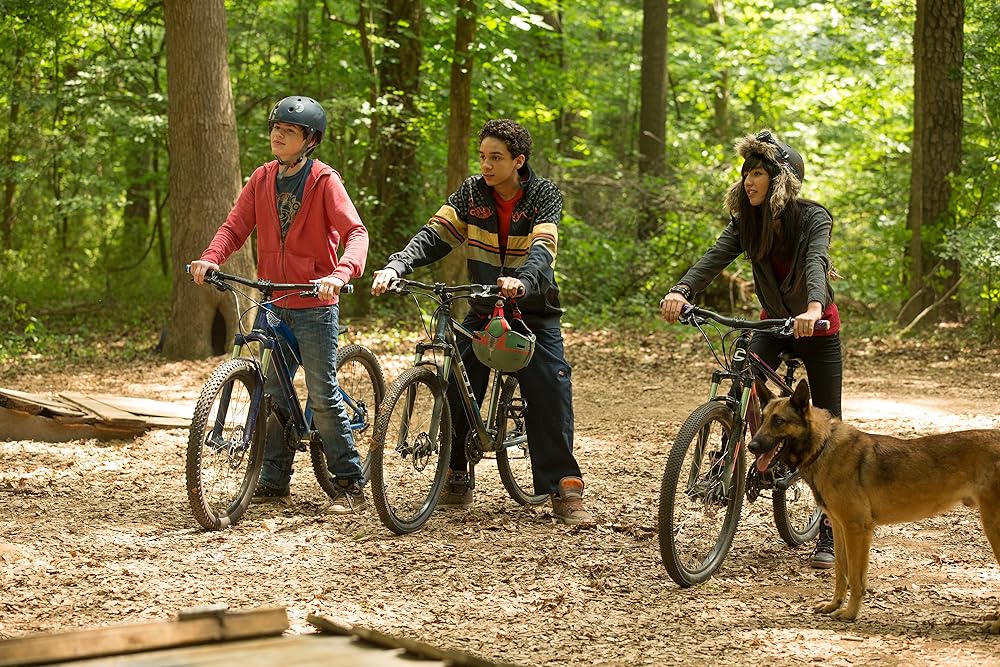 マックス／MAXの画像