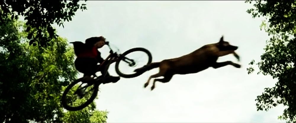 マックス／MAXの画像