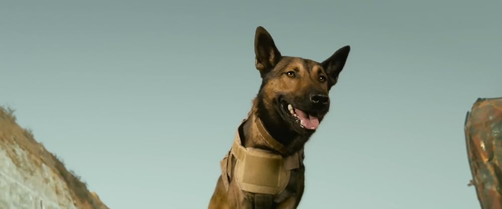 マックス／MAXの画像