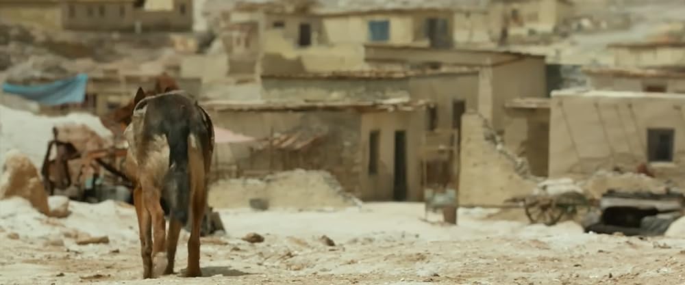 マックス／MAXの画像