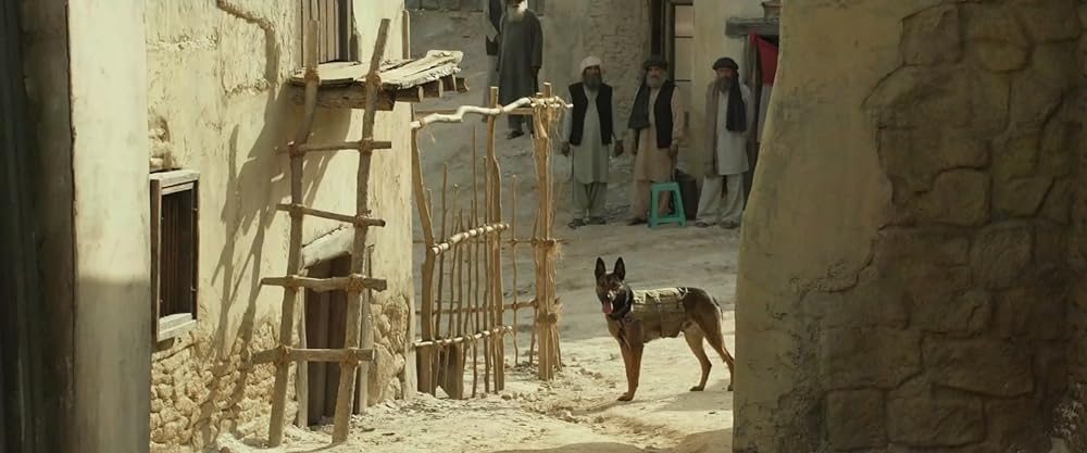 マックス／MAXの画像