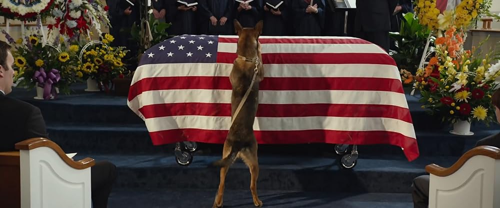 マックス／MAXの画像