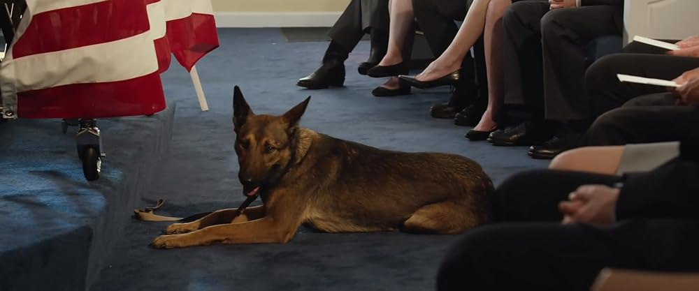 マックス／MAXの画像