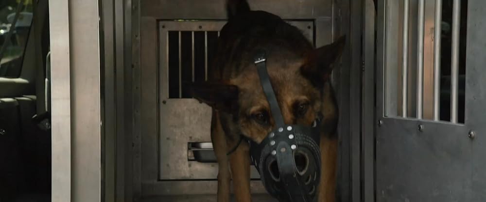 マックス／MAXの画像