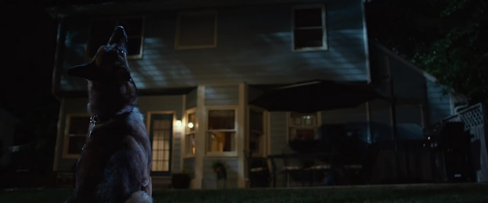 マックス／MAXの画像