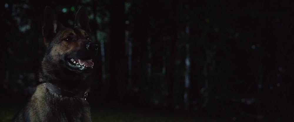 マックス／MAXの画像