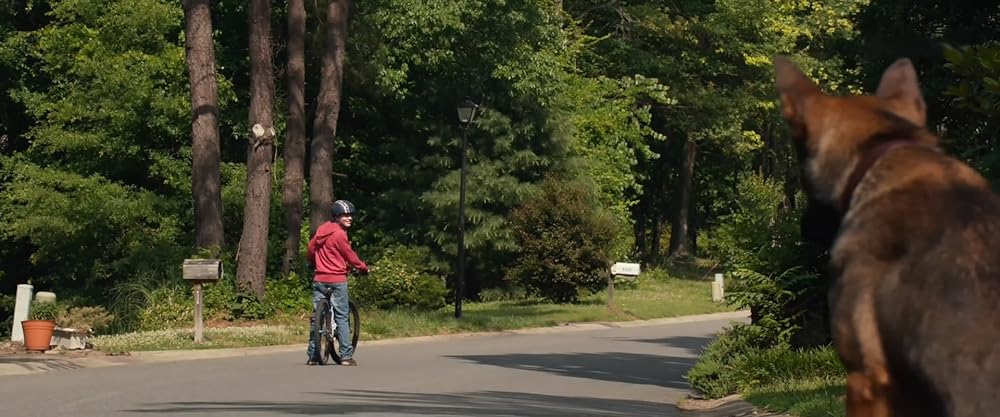 マックス／MAXの画像