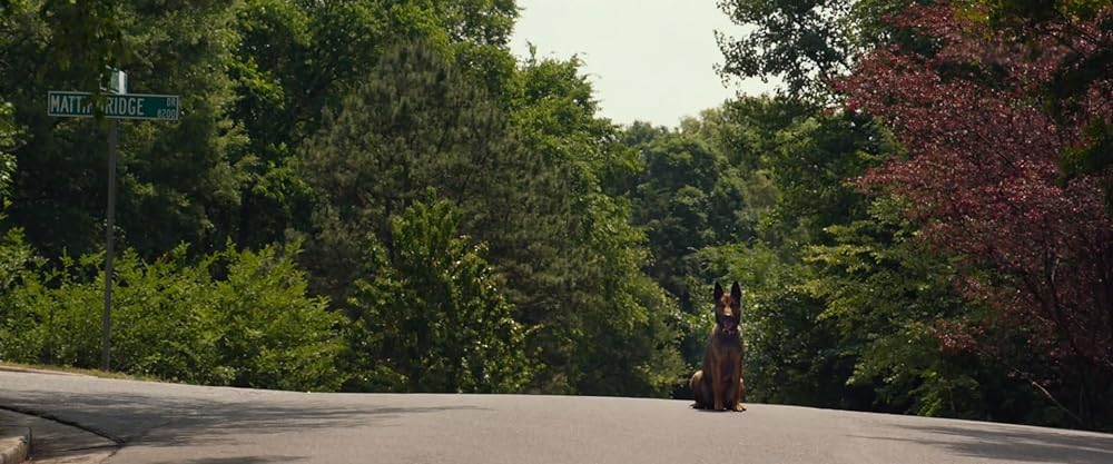 マックス／MAXの画像