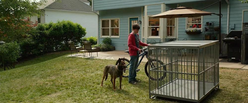 マックス／MAXの画像