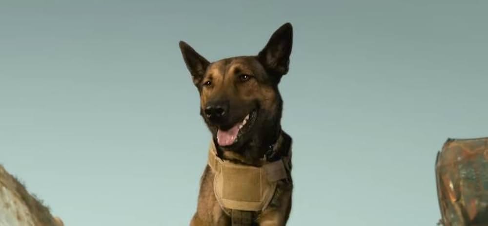 マックス／MAXの画像