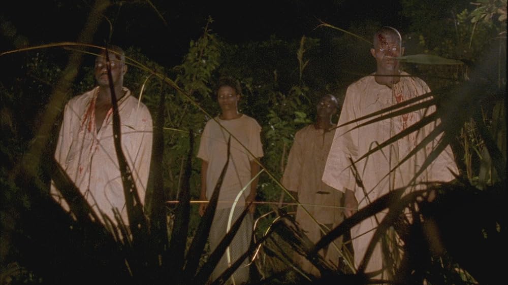 ゾンビ大陸 アフリカンの画像