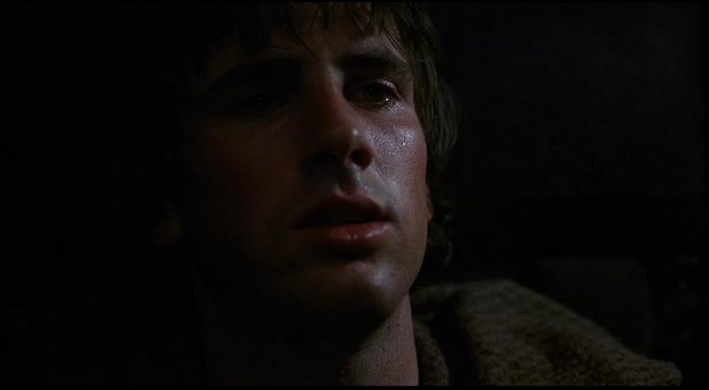 テラー・トレインの画像