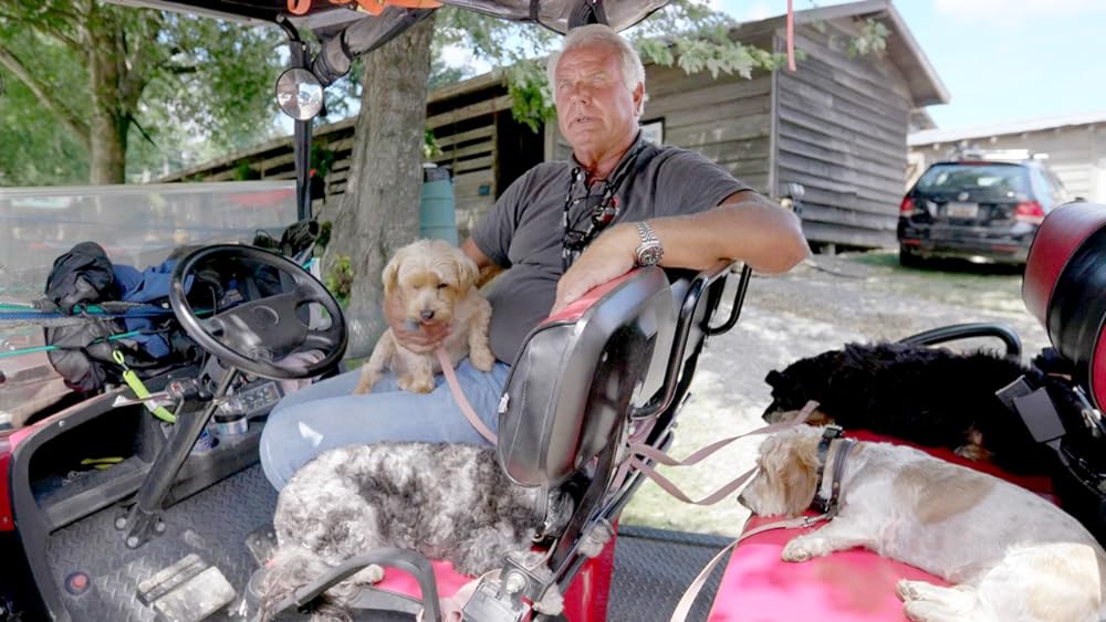 1万匹の犬を救った奇跡の家の画像