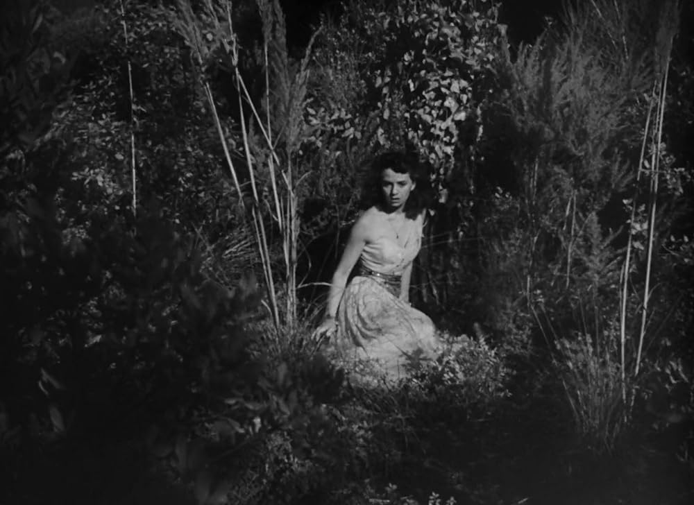 白い酋長の画像