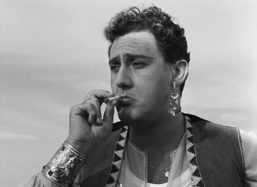 白い酋長の画像