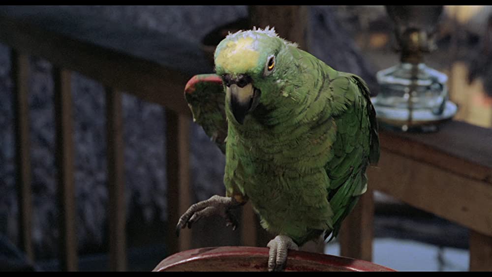 フィツカラルドの画像