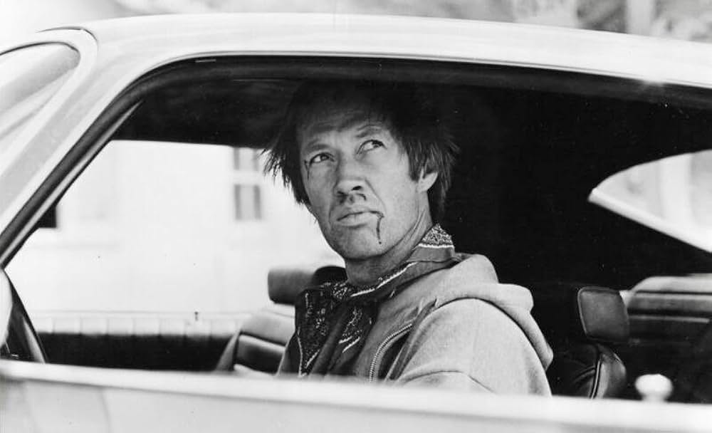 爆走！キャノンボールの画像