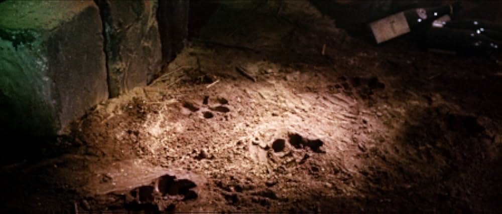 テラー博士の恐怖の画像