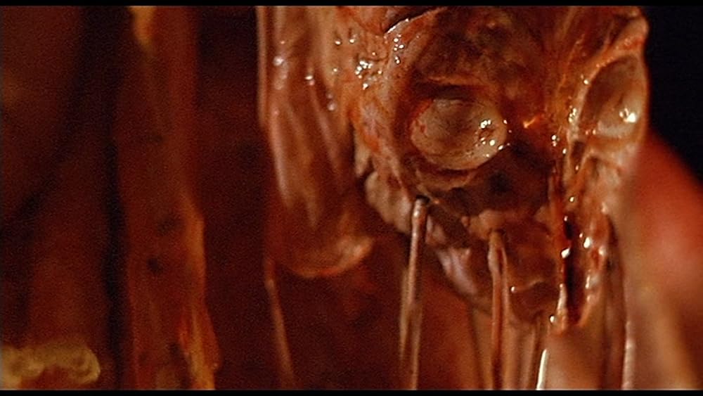 ベイビー・ブラッドの画像