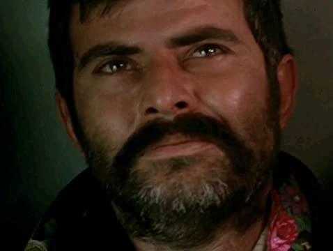 路（みち）の画像