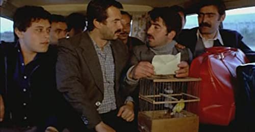 路（みち）の画像