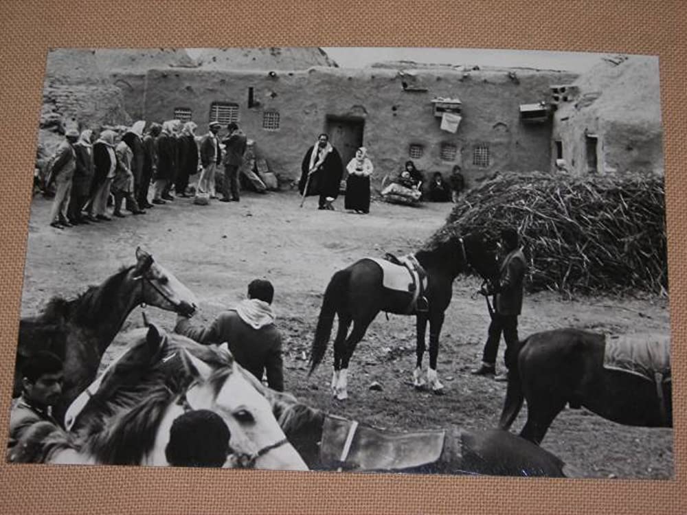 路（みち）の画像