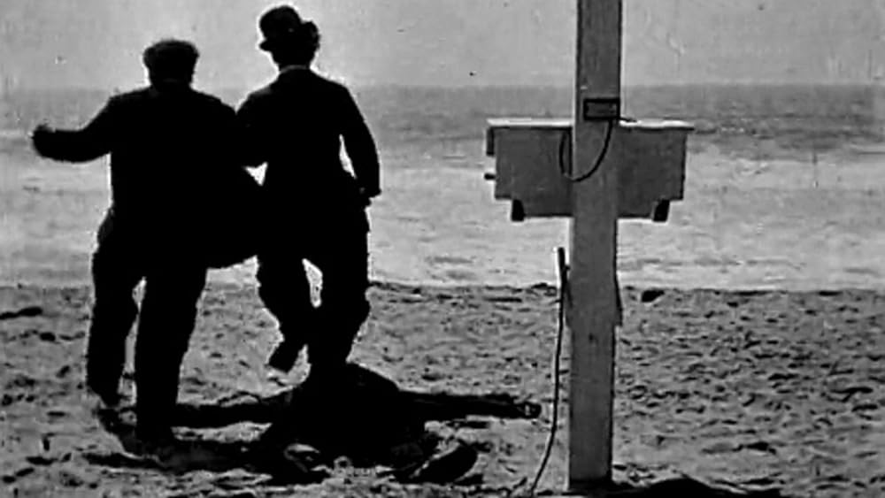 アルコール先生海水浴の巻の画像