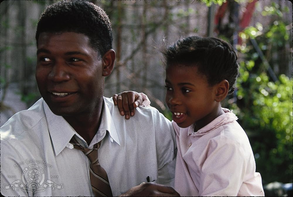 ラブ・フィールドの画像