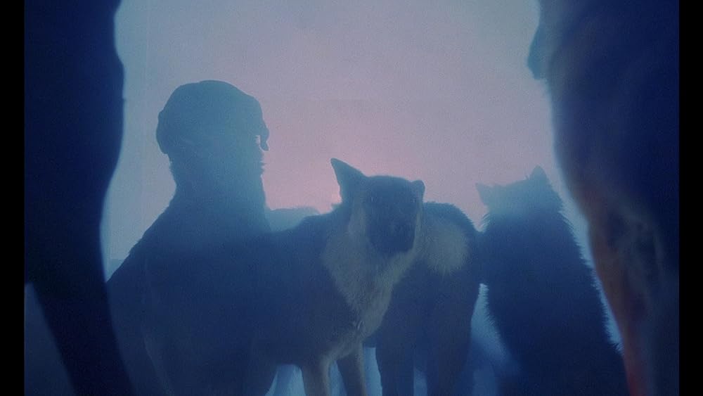 モンスター・ドッグの画像