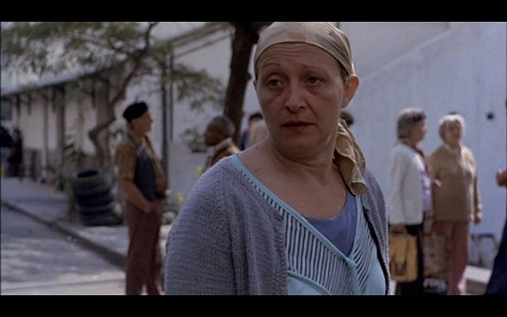 ピショットの画像